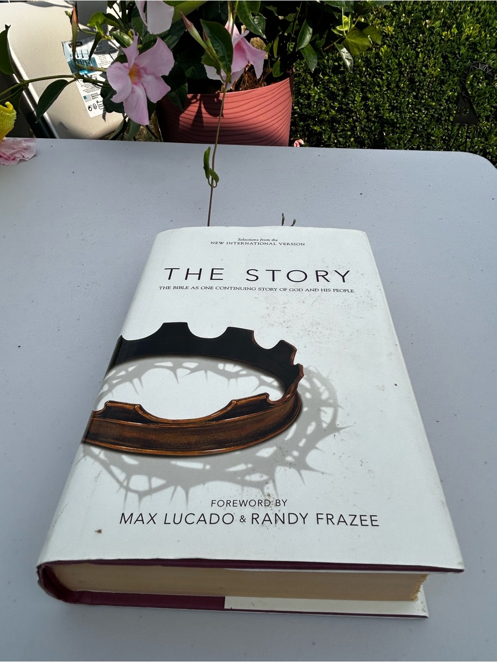 The Story Hardcover Book by Max Lucado & Randy Frazee - White